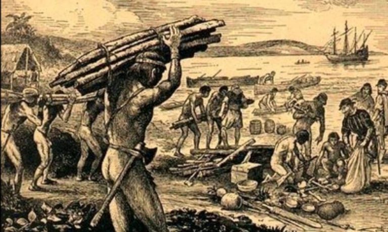 Brasil Colônia: o ciclo da cana-de-açúcar e do ouro - História Enem