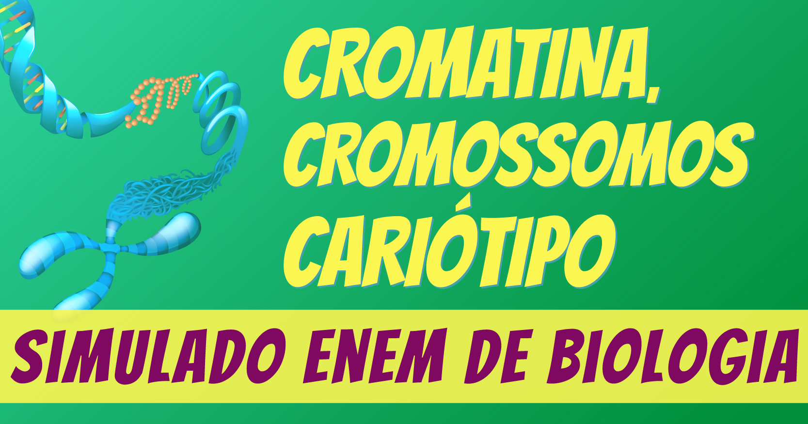 simulado de cromossomos