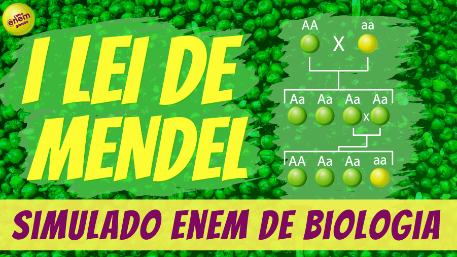 simulado de primeira lei de mendel