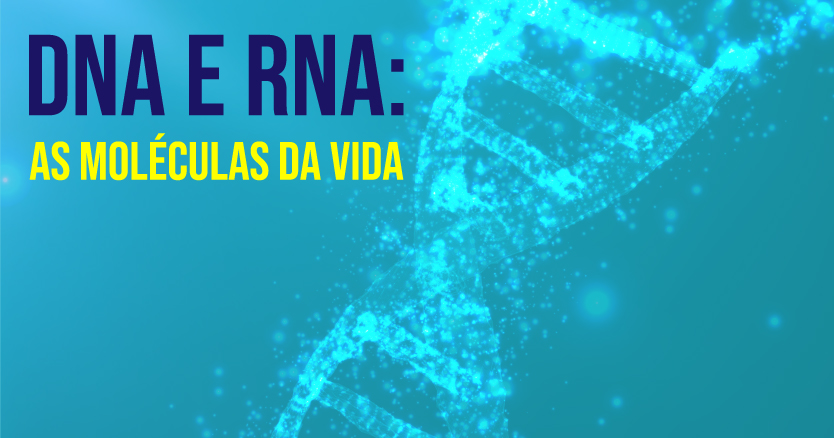 DNA e RNA