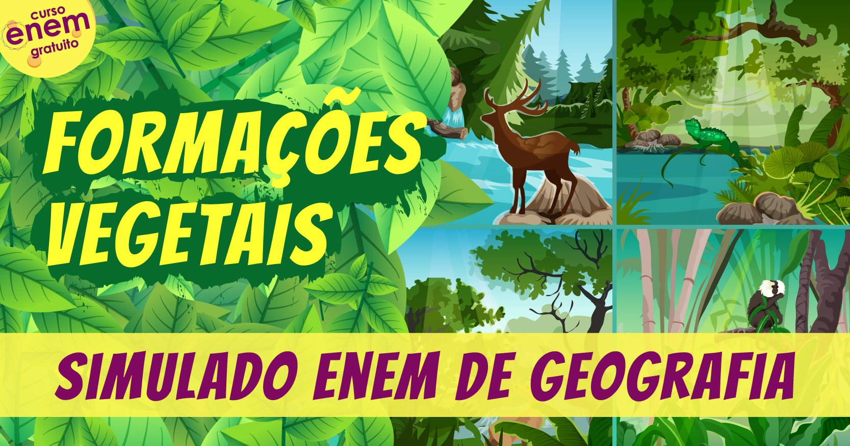 simulado de formações vegetais