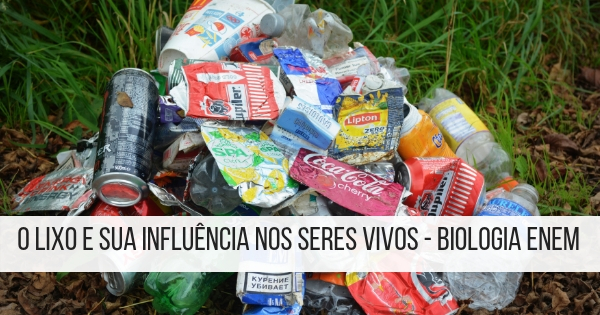 o lixo e consequências