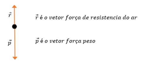 Força Peso: o que é, tipos, fórmula e exemplos - Física para o Enem