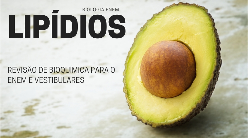 lipídios capa da aula