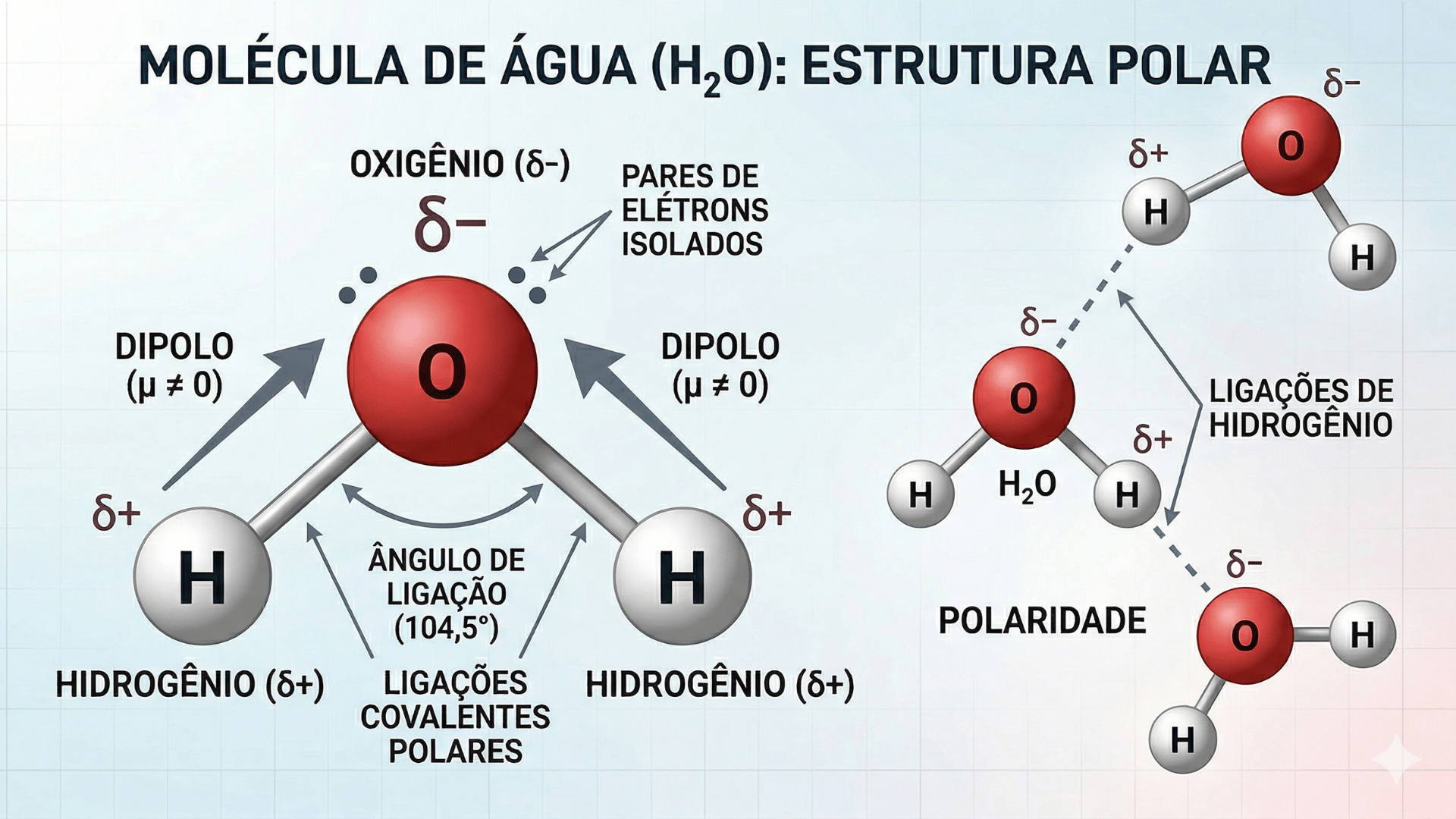 Um infográfico científico e educacional com o título 'MOLÉCULA DE ÁGUA (H₂O): ESTRUTURA POLAR' em português. À esquerda, um diagrama grande e detalhado de uma única molécula de água mostrando átomos de oxigênio (vermelho) e hidrogênio (brancos), cargas parciais (delta positivo e negativo), pares de elétrons isolados, ligações covalentes polares, vetores de dipolo e o ângulo de ligação de 104,5 graus. À direita, um diagrama menor mostrando a interação de três moléculas de água através de ligações de hidrogênio e a polaridade resultante.