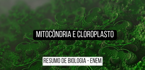 aula de mitocôndria