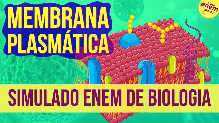 simulado de membrana plasmática