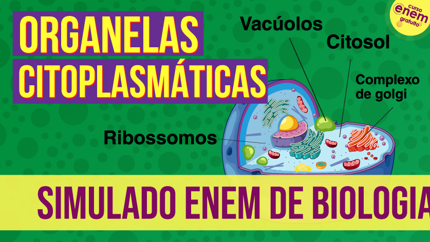 simulado de organelas citoplasmáticas