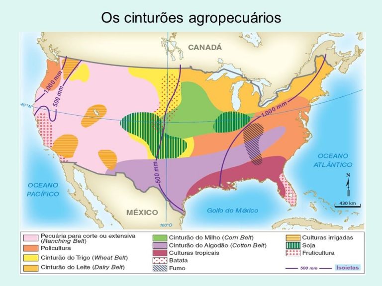 Como Está Organizada A Produção Agropecuária Nos Estados Unidos