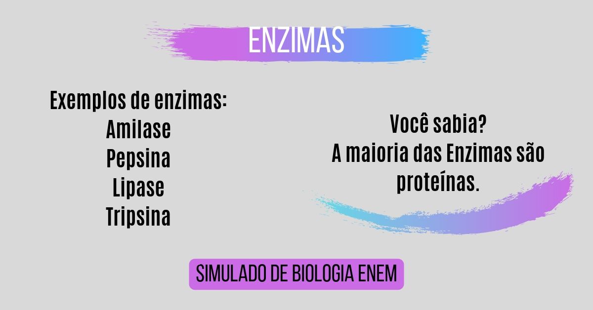 simulado de enzimas