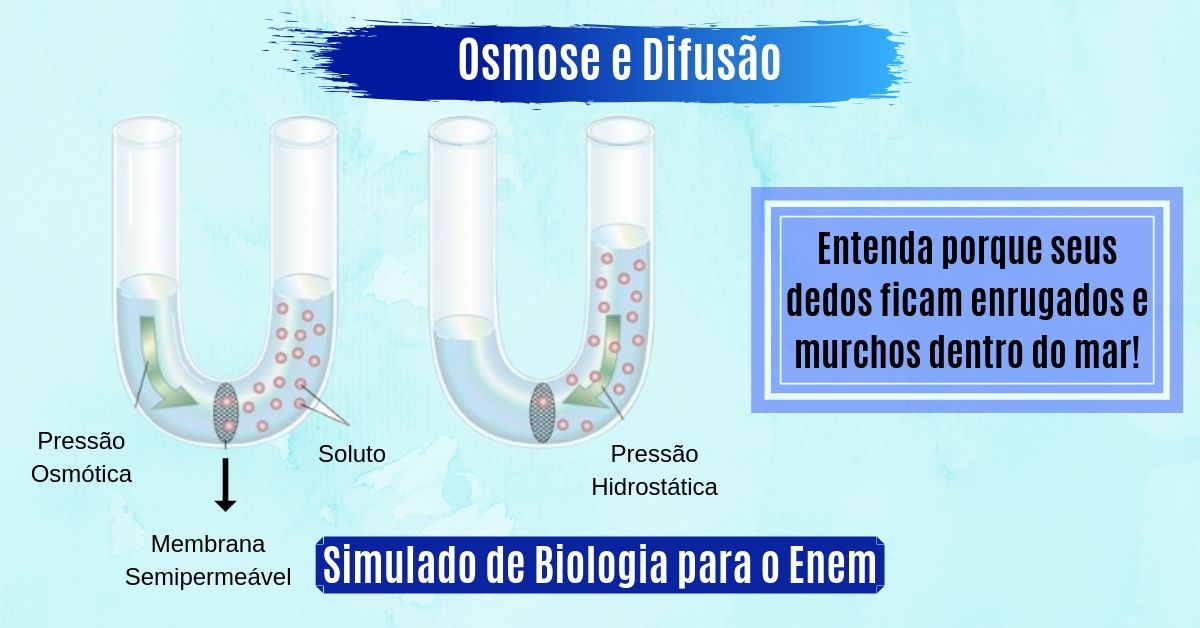 simulado de osmose