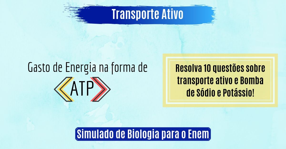 simulado de transporte ativo