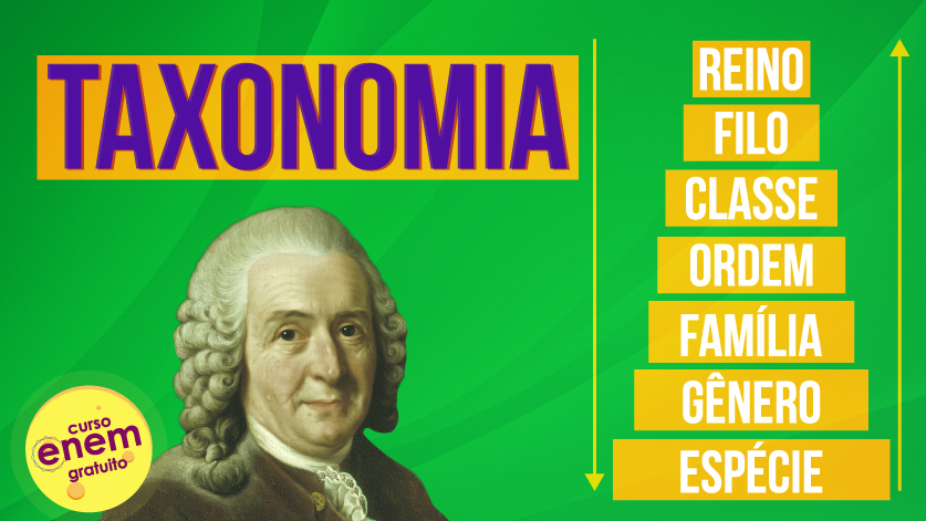 aula de taxonomia