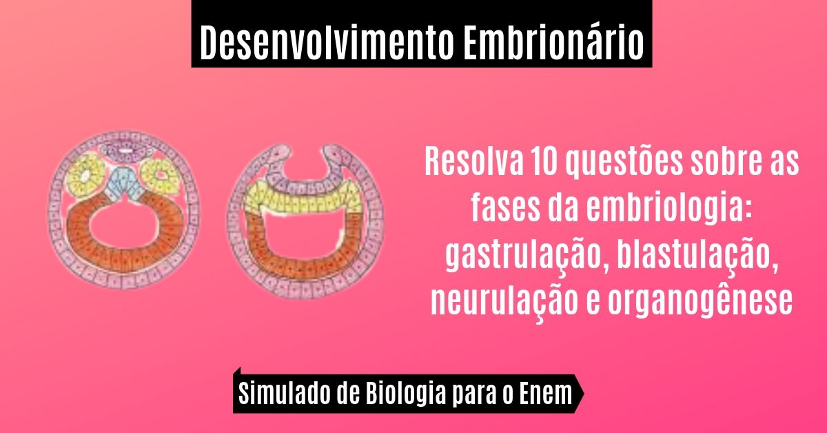 simulado de desenvolvimento embrionário
