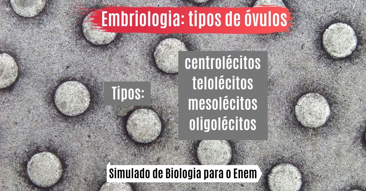 simulado de embriologia