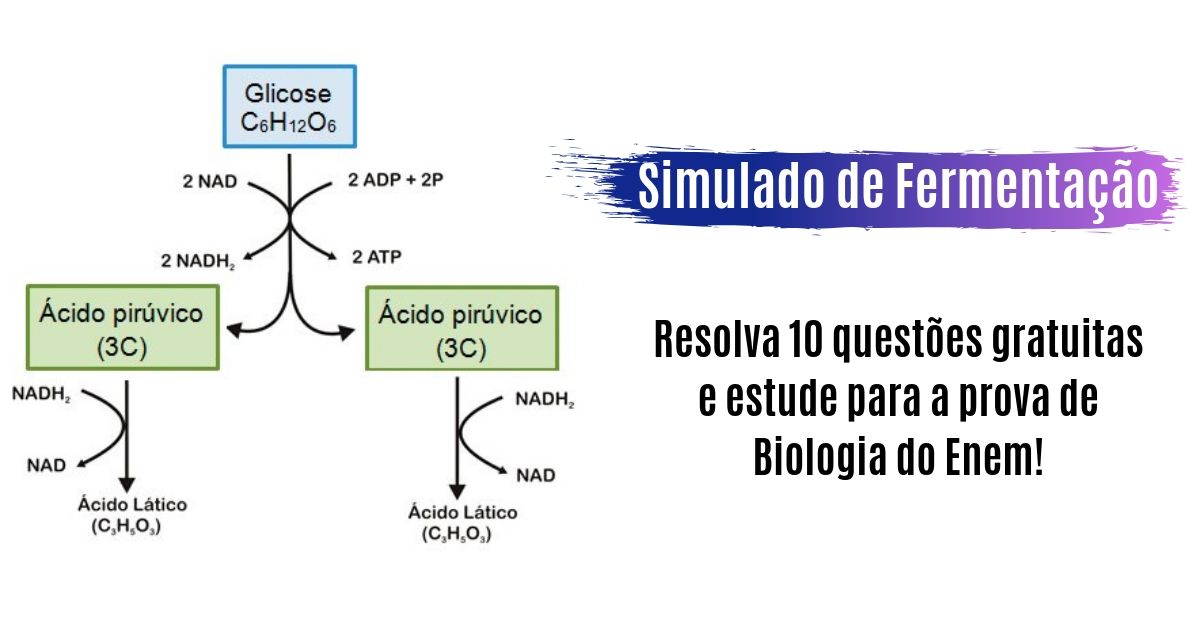 simulado de fermentação