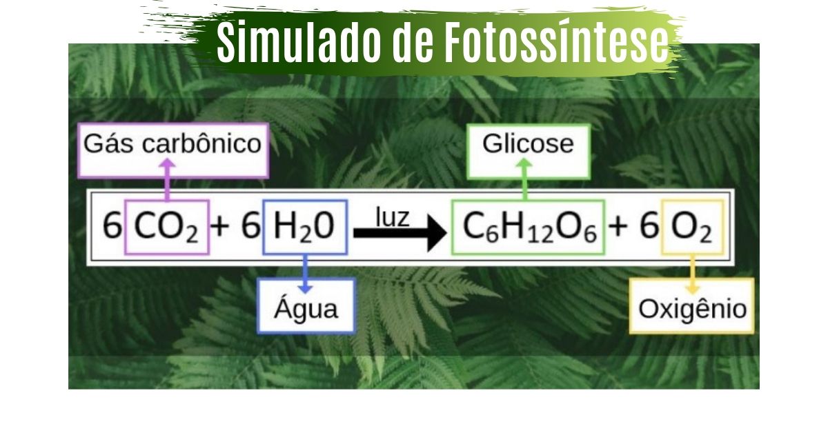 simulado de fotossíntese