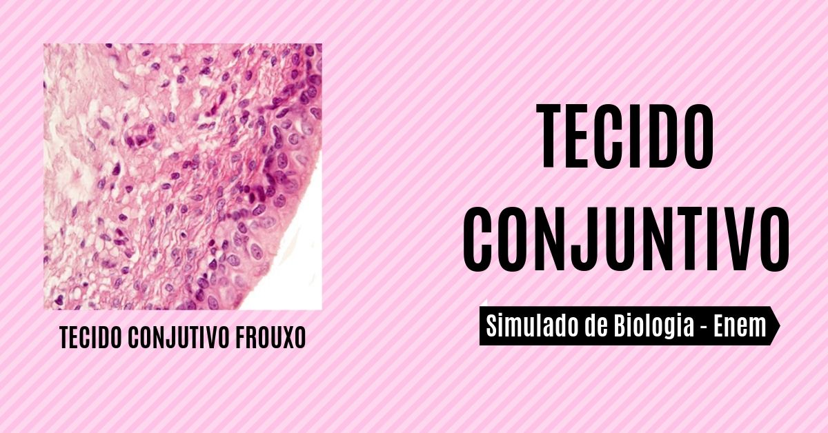 simulado de tecido conjuntivo