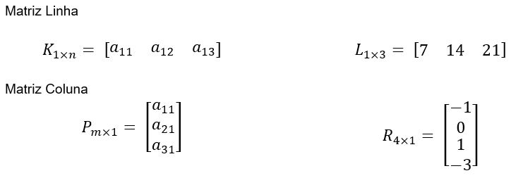 Matriz: o que é, representação, tipos, exemplos e exercícios