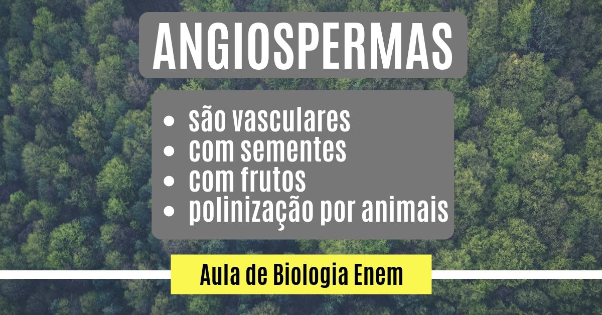 Aula de Angiospermas
