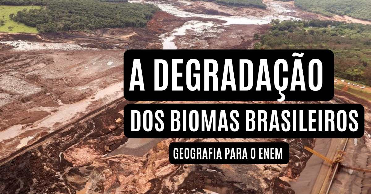 Efeitos Da Degradação Dos Biomas No Brasil Redação - FDPLEARN
