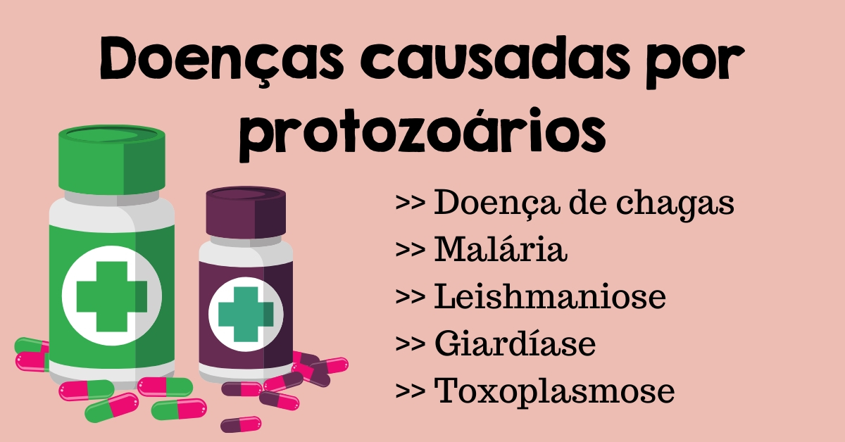 Doenças Causadas Por Virus Bacterias Fungos E Protozoarios - FDPLEARN