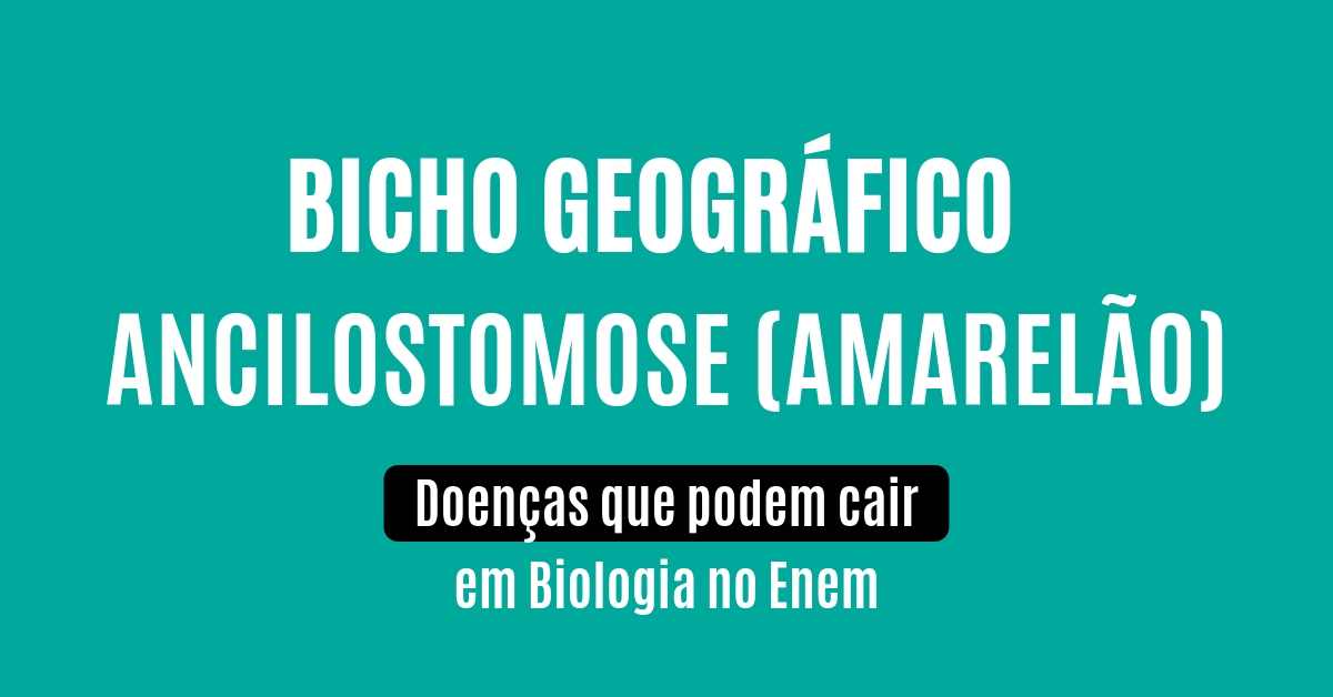 Aula sobre Ancilostomose