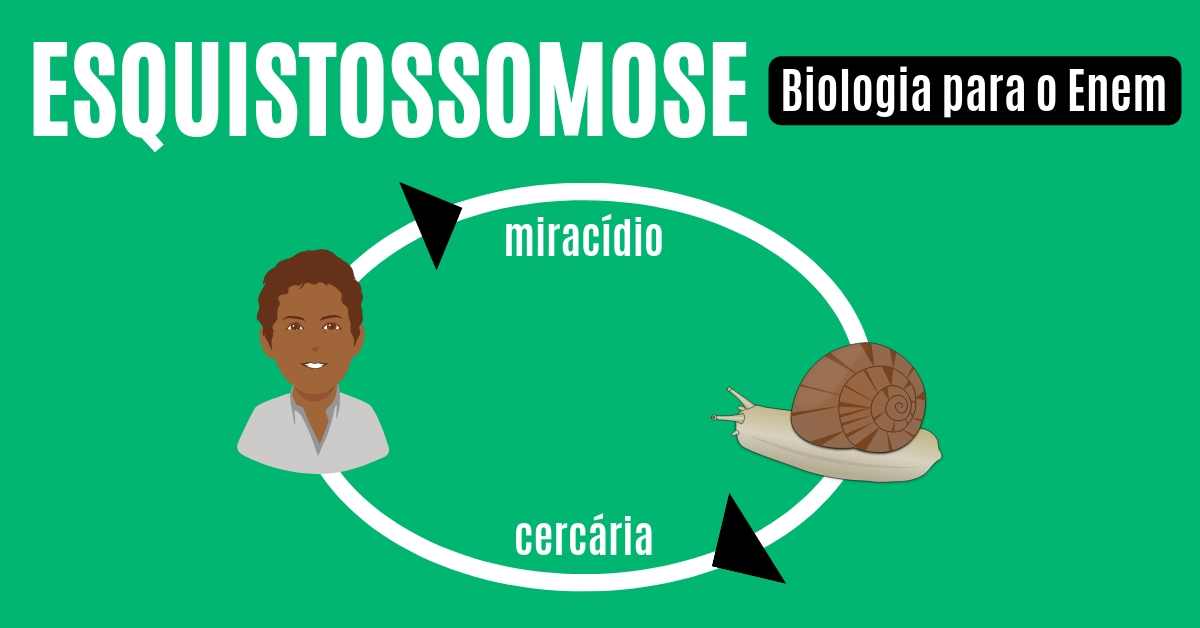 Aula de Esquistossomose