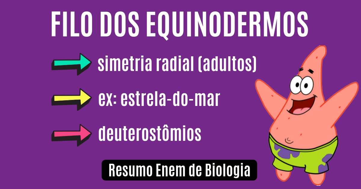 Aula sobre Equinodermos