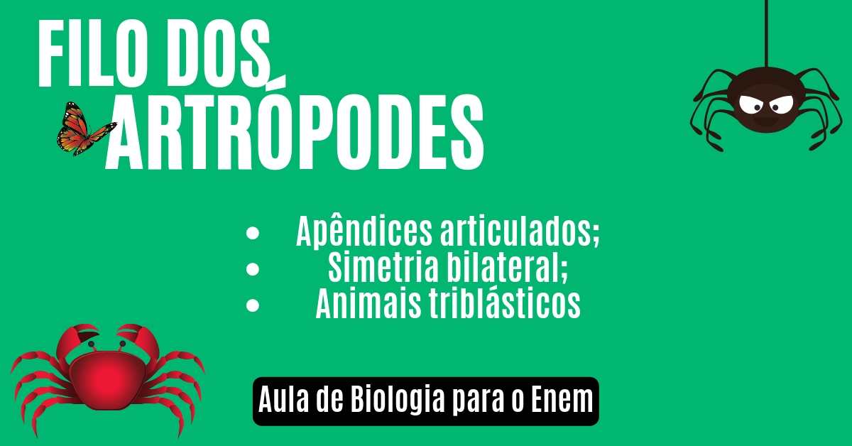 Aula sobre artrópodes
