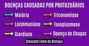 Resumo Enem com simulado sobre doenças causadas pelos Protozoários