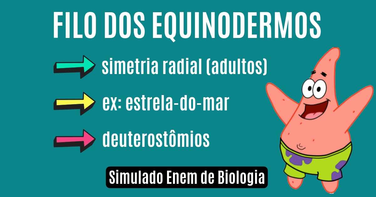 Simulado de Equinodermos