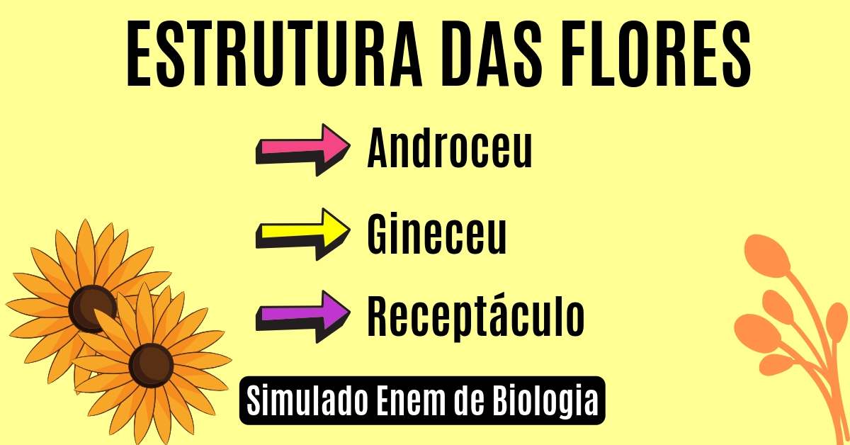 Simulado de estrutura das flores