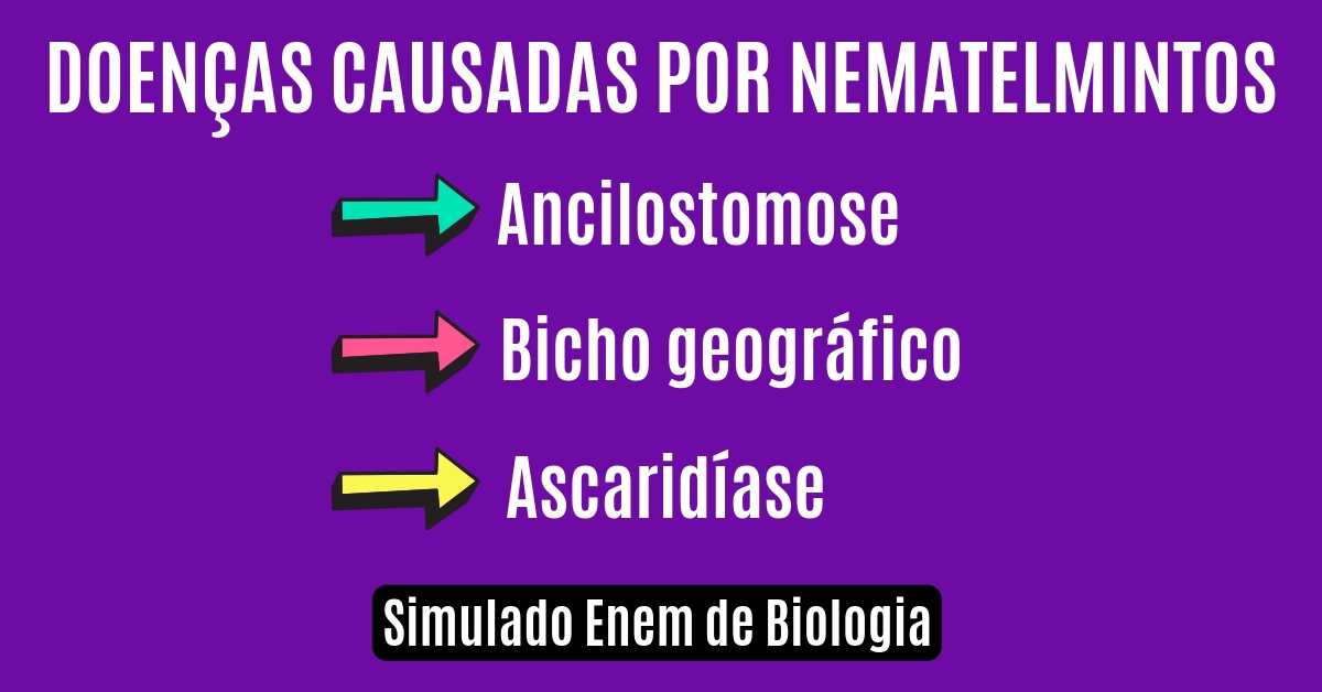 Simulado de verminoses de nematelmintos