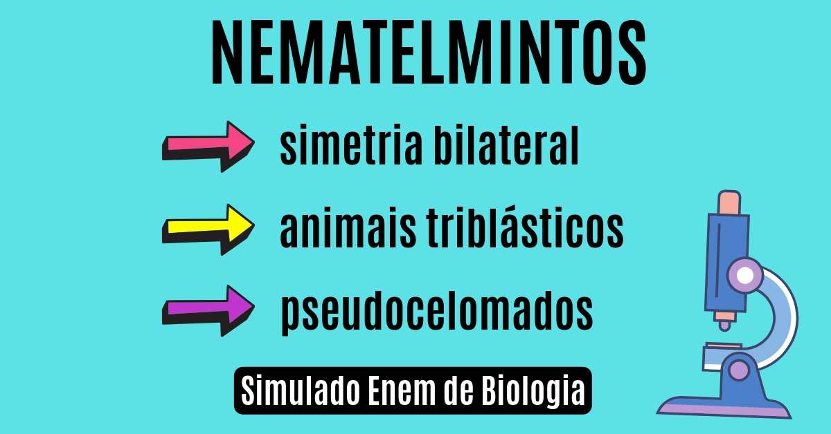 simulado de nematelmintos