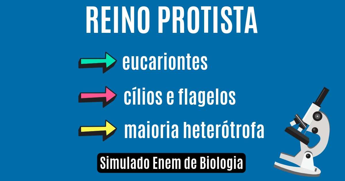 simulado de reino protista