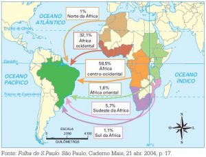Tráfico negreiro no Brasil: qual a origem e como funcionava