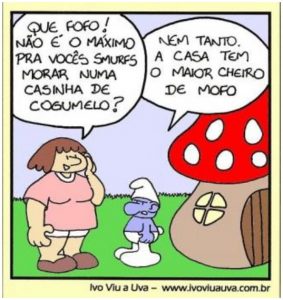 Reino Fungi - Exercício