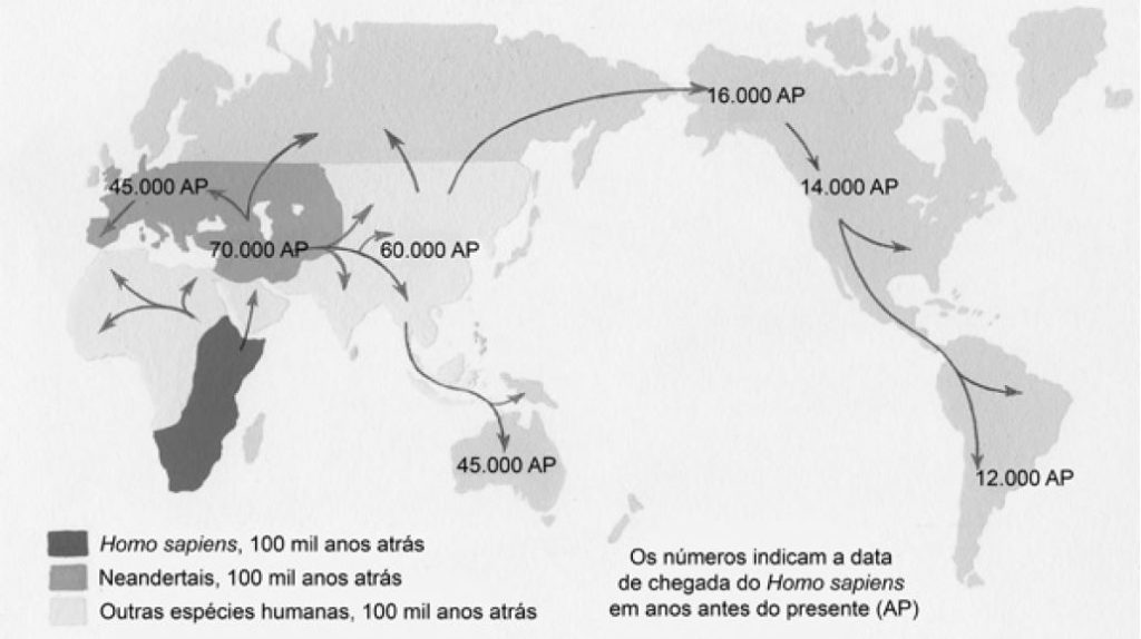 Conheça as diferentes espécies de hominídeos e a evolução humana