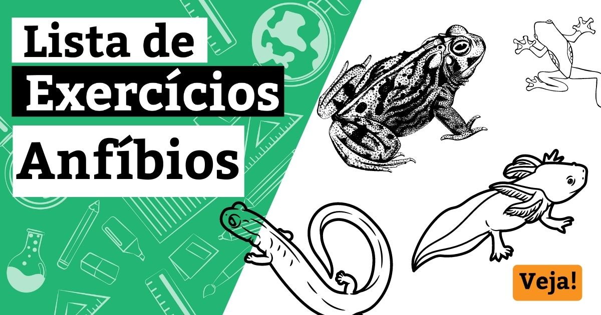 Lista de exercícios sobre os anfíbios