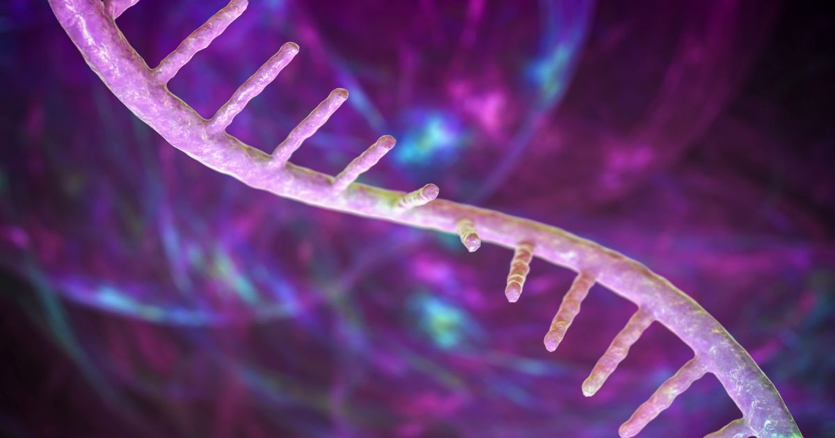 Explorando o RNA - Ácido Ribonucleico | Curso de Genética Básica