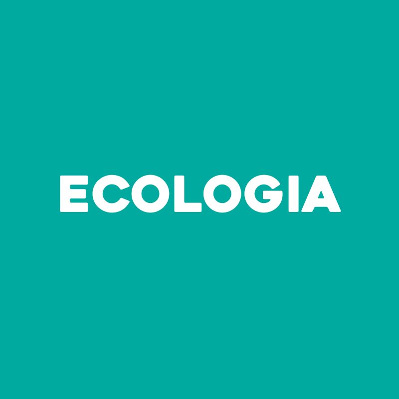 ECOLOGIA - EXPLICA DO ZERO - pirâmides ecológicas