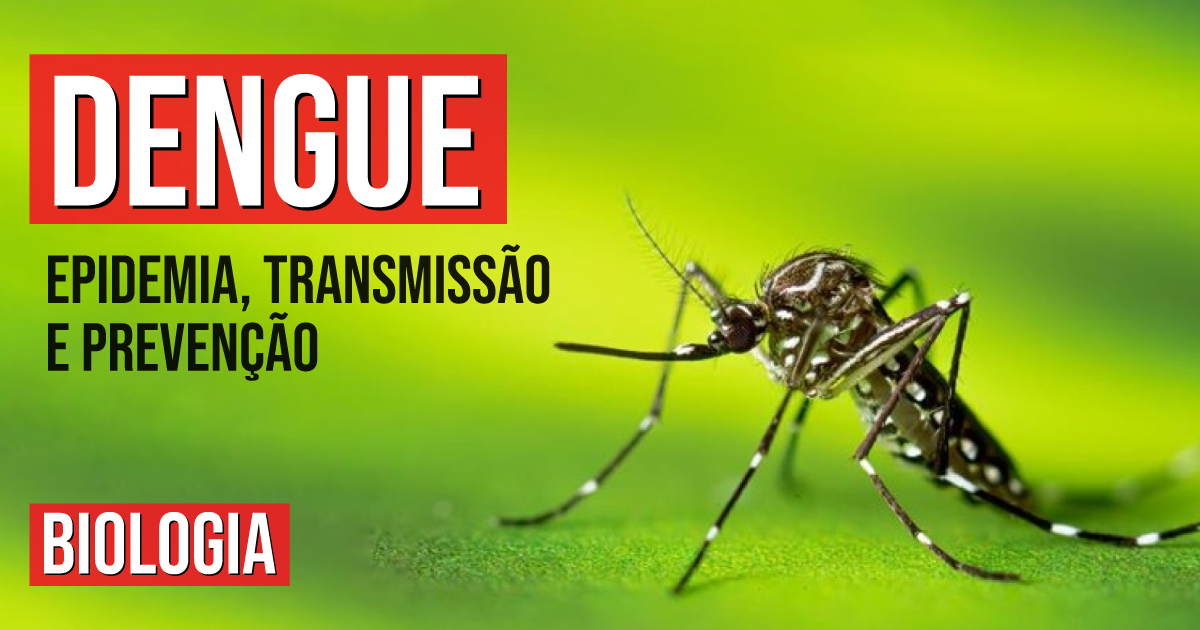 Dengue: epidemia, transmissão e prevenção