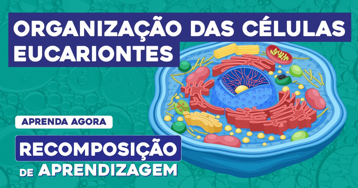 Organização geral das células eucariontes | Recomposição de Aprendizagem