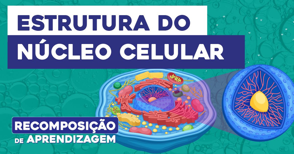 Estrutura do núcleo celular | Recomposição de Aprendizagem