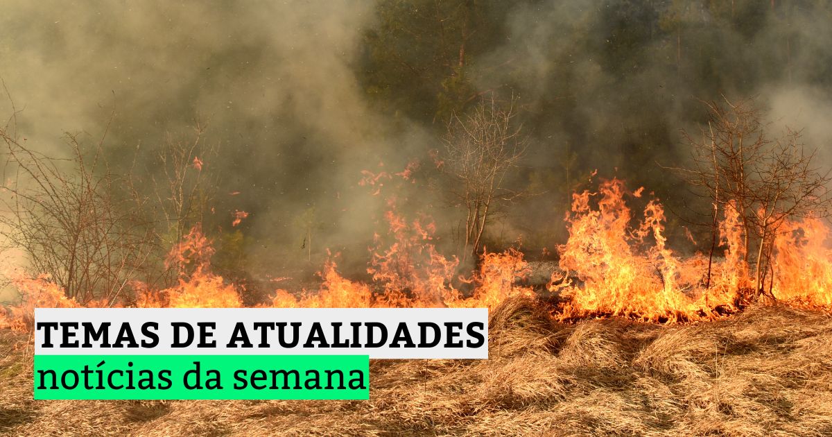 temas de atualidades