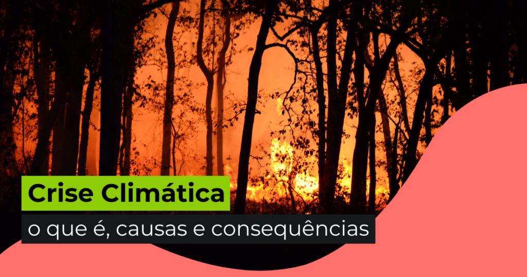 Crise Climática: o que é, causas e consequências