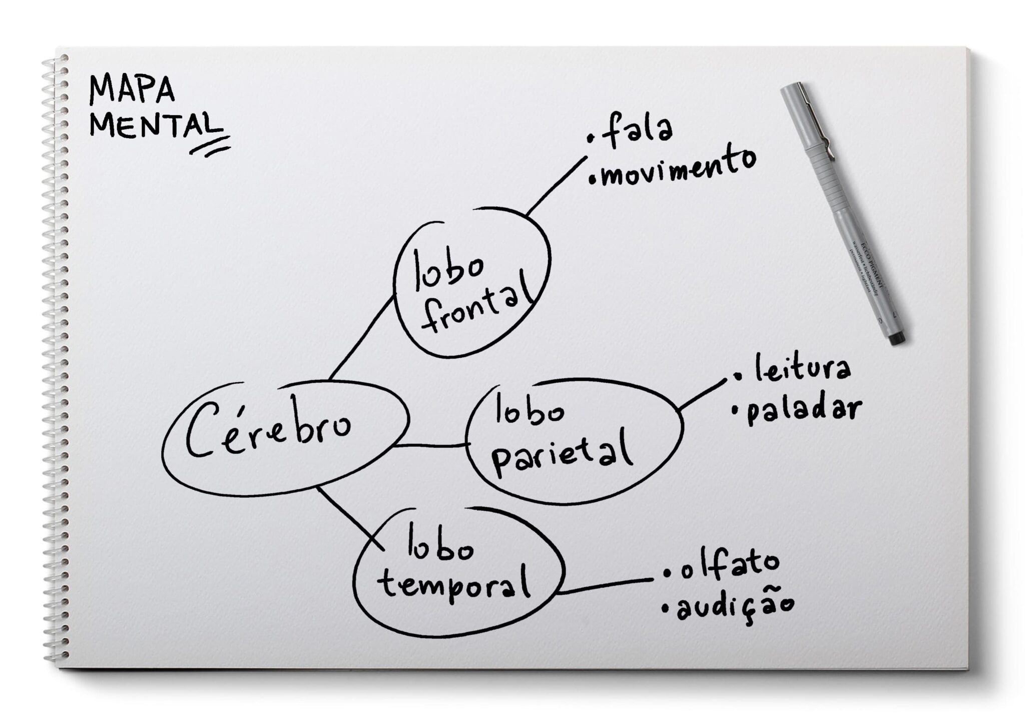 5 motivos para você começar a estudar com mapas mentais